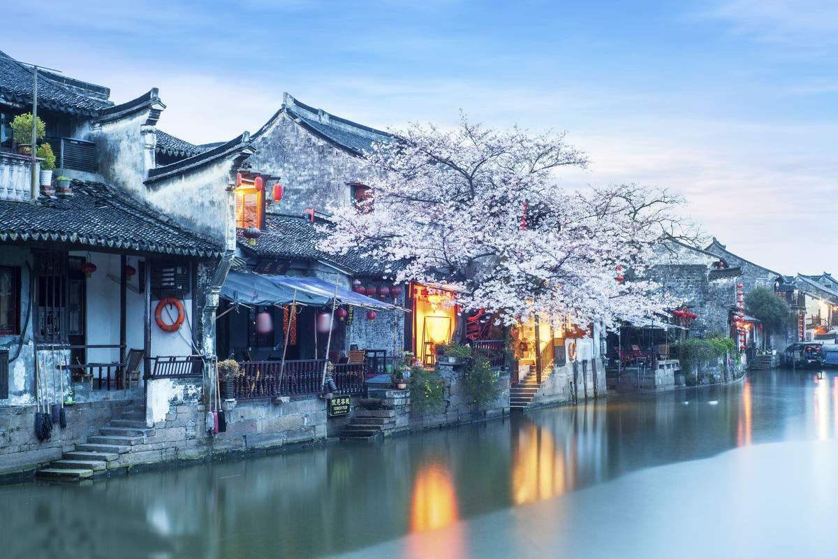 逗小猴开心系列203